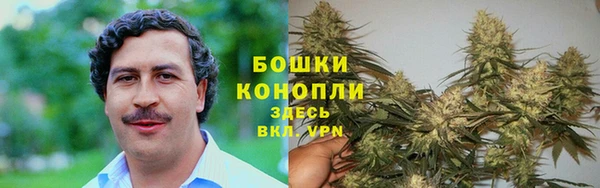 герыч Вязьма