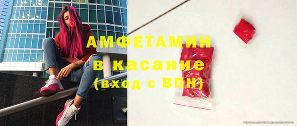 ГАЛЛЮЦИНОГЕННЫЕ ГРИБЫ Вяземский
