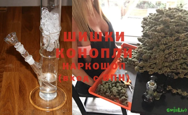 ГАЛЛЮЦИНОГЕННЫЕ ГРИБЫ Вяземский