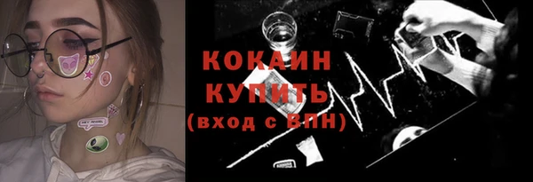 ГАЛЛЮЦИНОГЕННЫЕ ГРИБЫ Вяземский