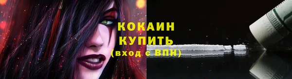 ГАЛЛЮЦИНОГЕННЫЕ ГРИБЫ Вяземский