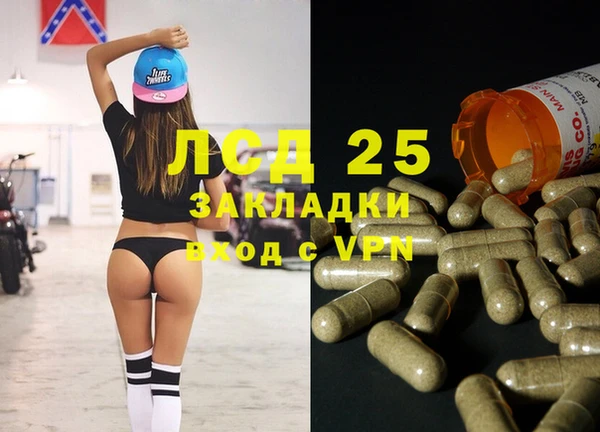 ГАЛЛЮЦИНОГЕННЫЕ ГРИБЫ Вяземский