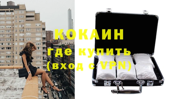 ГАЛЛЮЦИНОГЕННЫЕ ГРИБЫ Вяземский