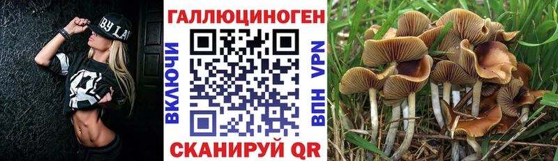 Псилоцибиновые грибы прущие грибы  Купить  Кемь 